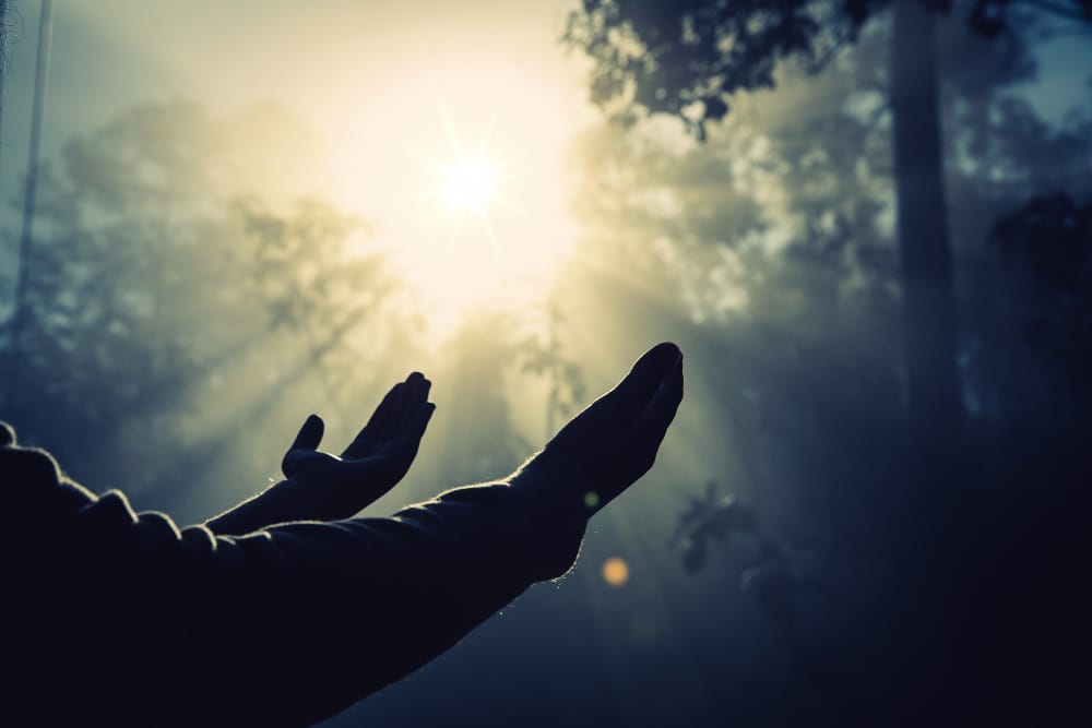 Two hands reaching up toward a bright burst of sunlight breaking through a misty forest.